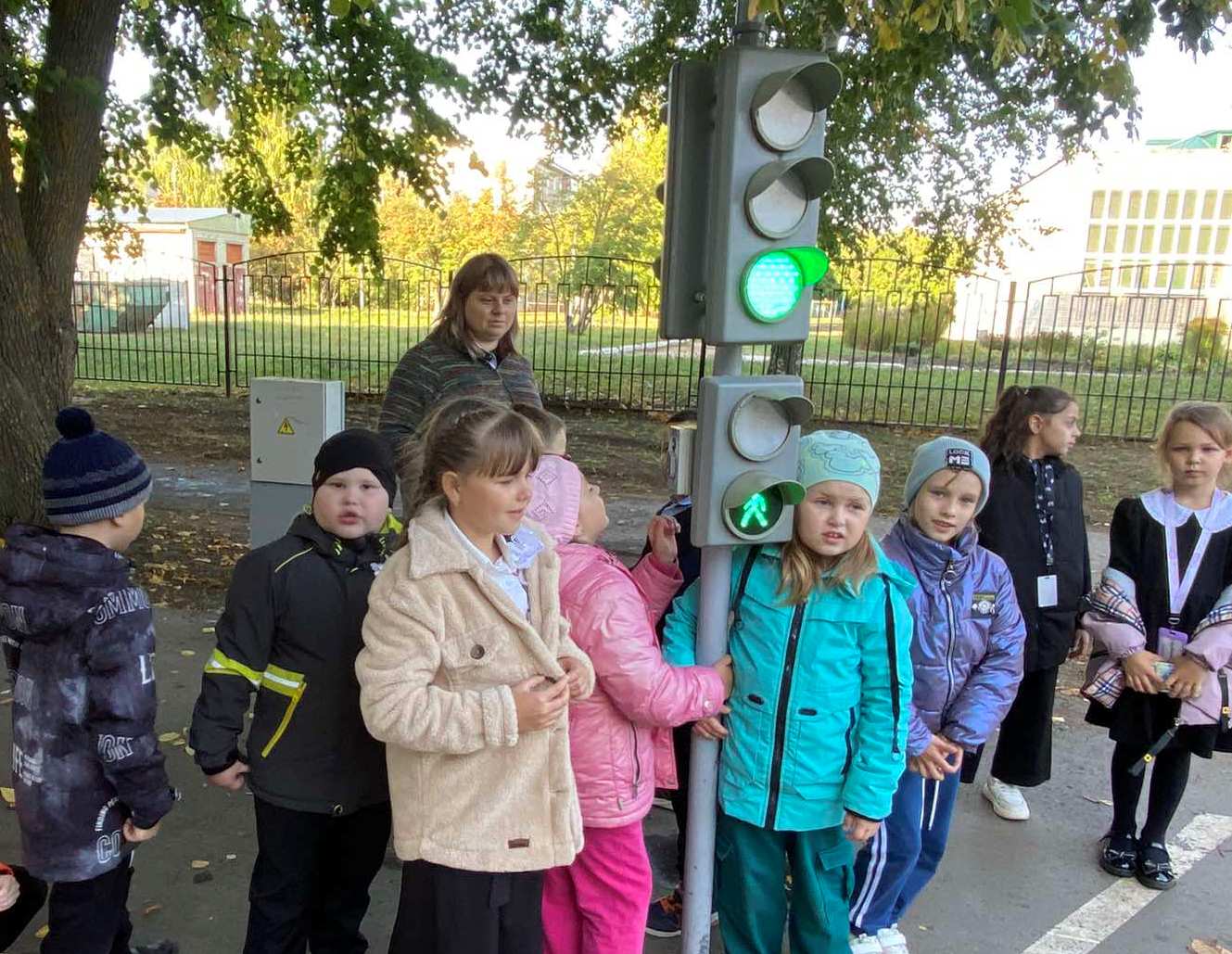 Целевая прогулка «Огни светофора».